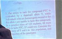 Is the Ability to Taste Ptc Dominant or Recessive?