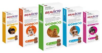 Is There a Generic for Bravecto for Dogs?