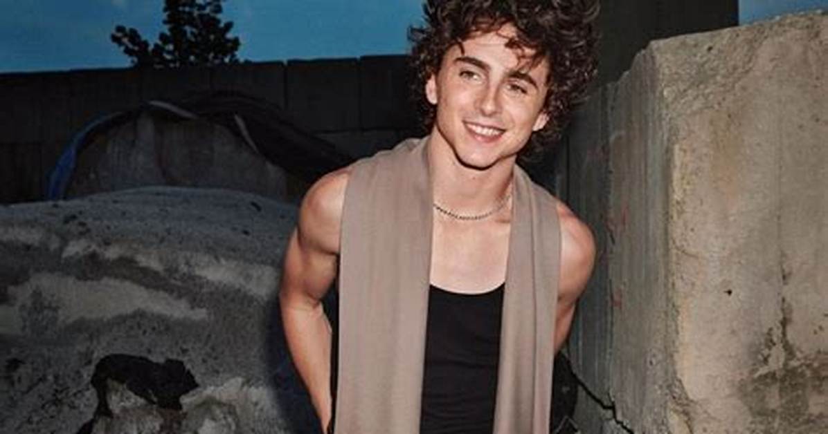 Is Timothee Chalamet a Zionist? Religion and Belief