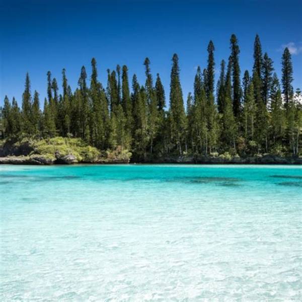 Isle of Pines Shore Excursions & Cruise Excursions