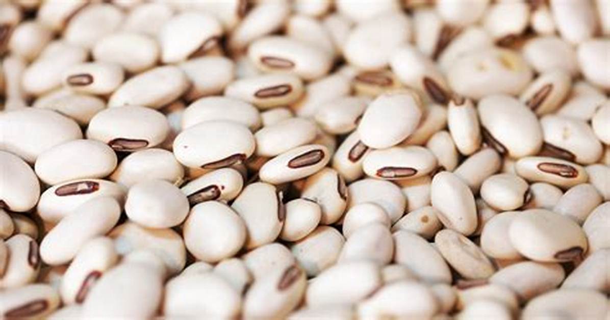 Jack Bean - Age, Family, Bio
