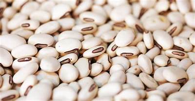 Jack Bean - Age, Family, Bio