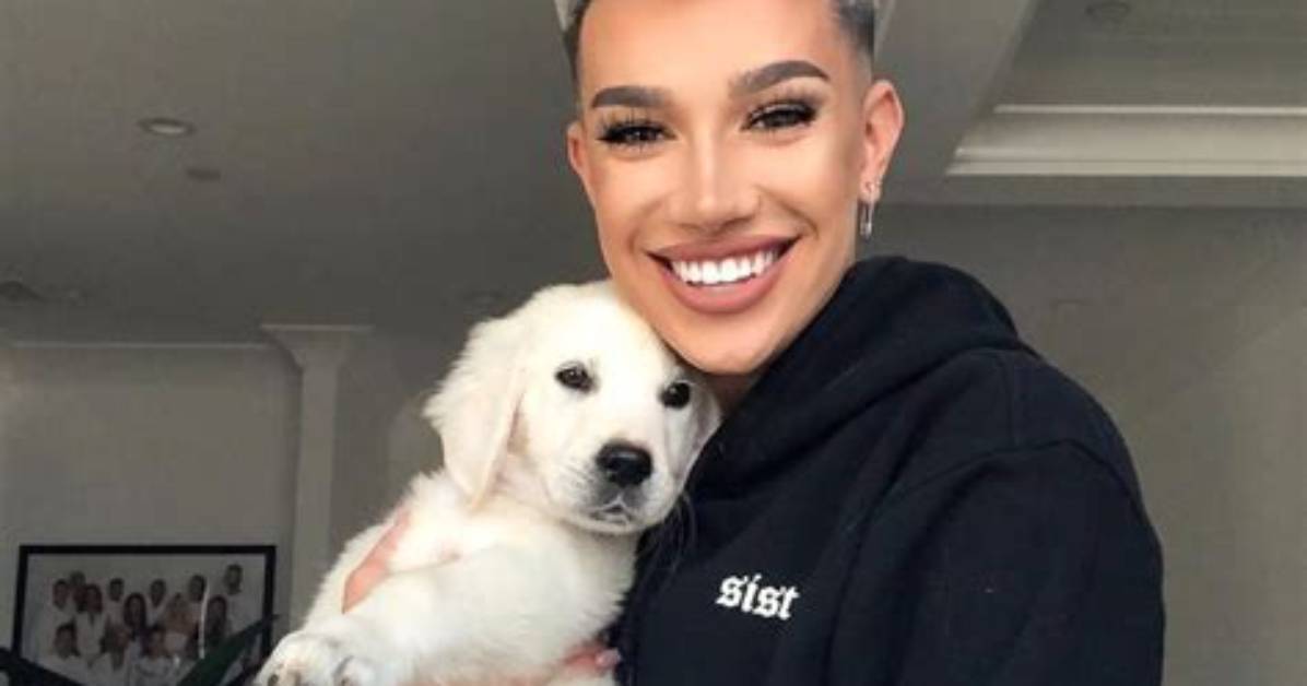 James Charles Pets - Celebrity Pets