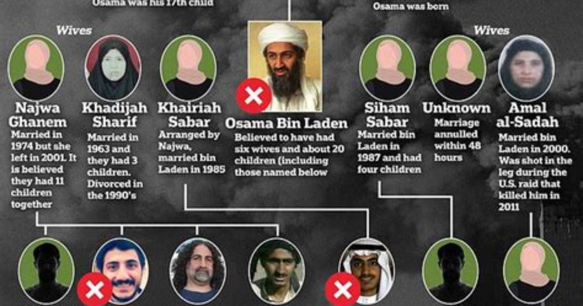 Jb Bin Laden - Age, Family, Bio