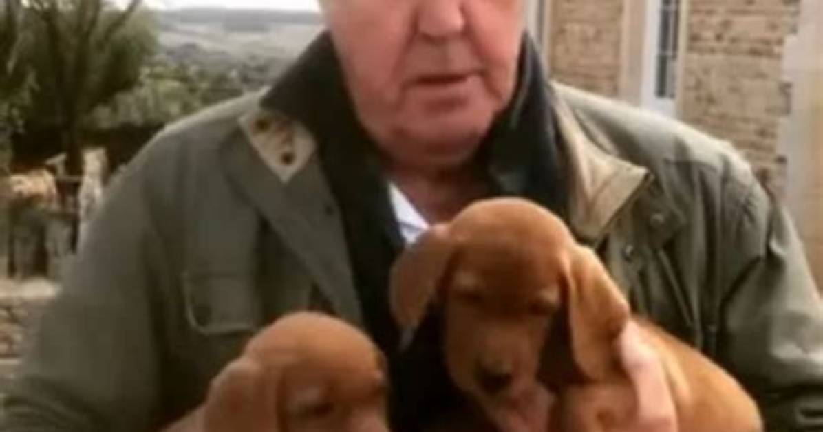 Jeremy Clarkson Pets - Celebrity Pets