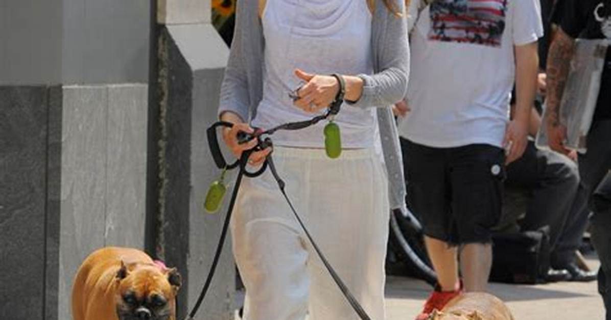 Jessica Biel Shock-Collars at Least One of Her Dogs While out & About in Nyc