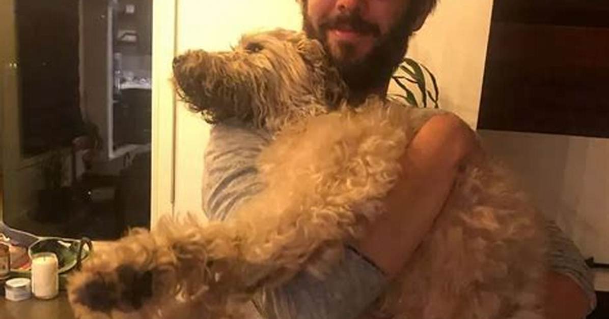 Josh Groban Pets - Celebrity Pets