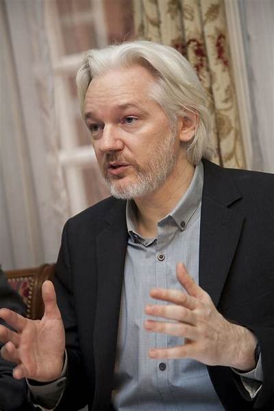 Julian Assange Bio (Wiki)