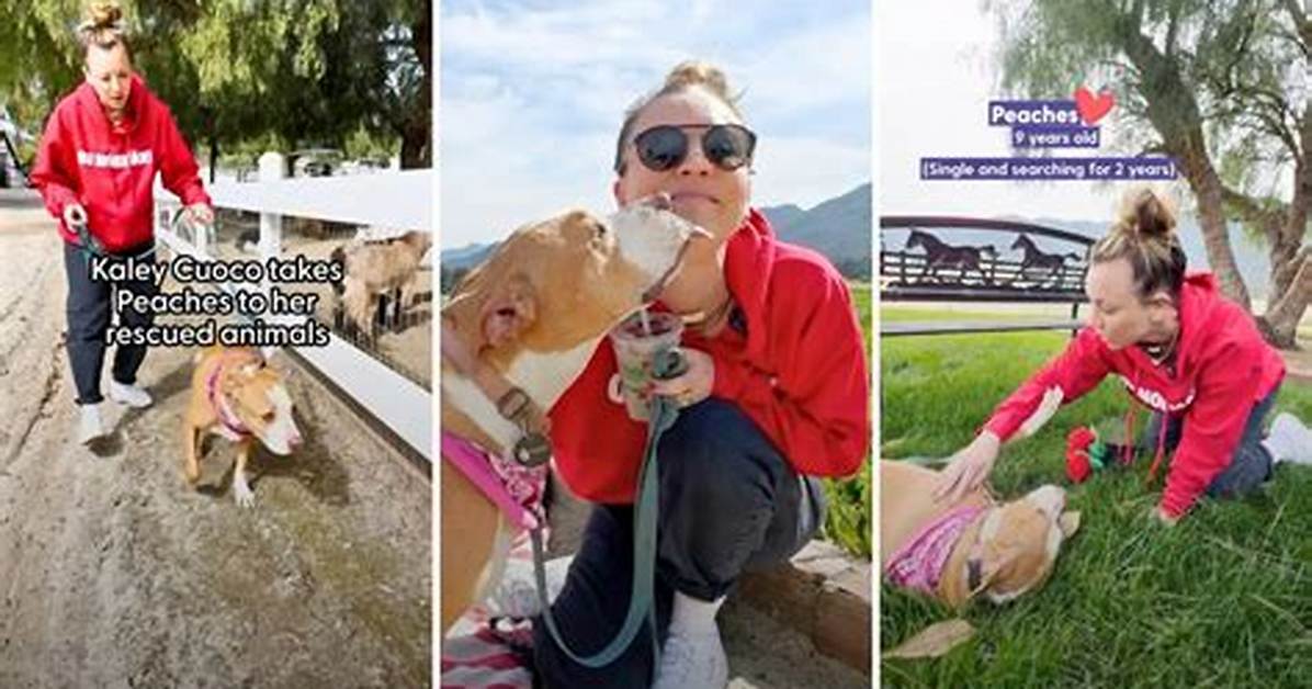 Kaley Cuoco Takes an Adoptable Pitbull for a Date Around Her Rescue Animal Ranch