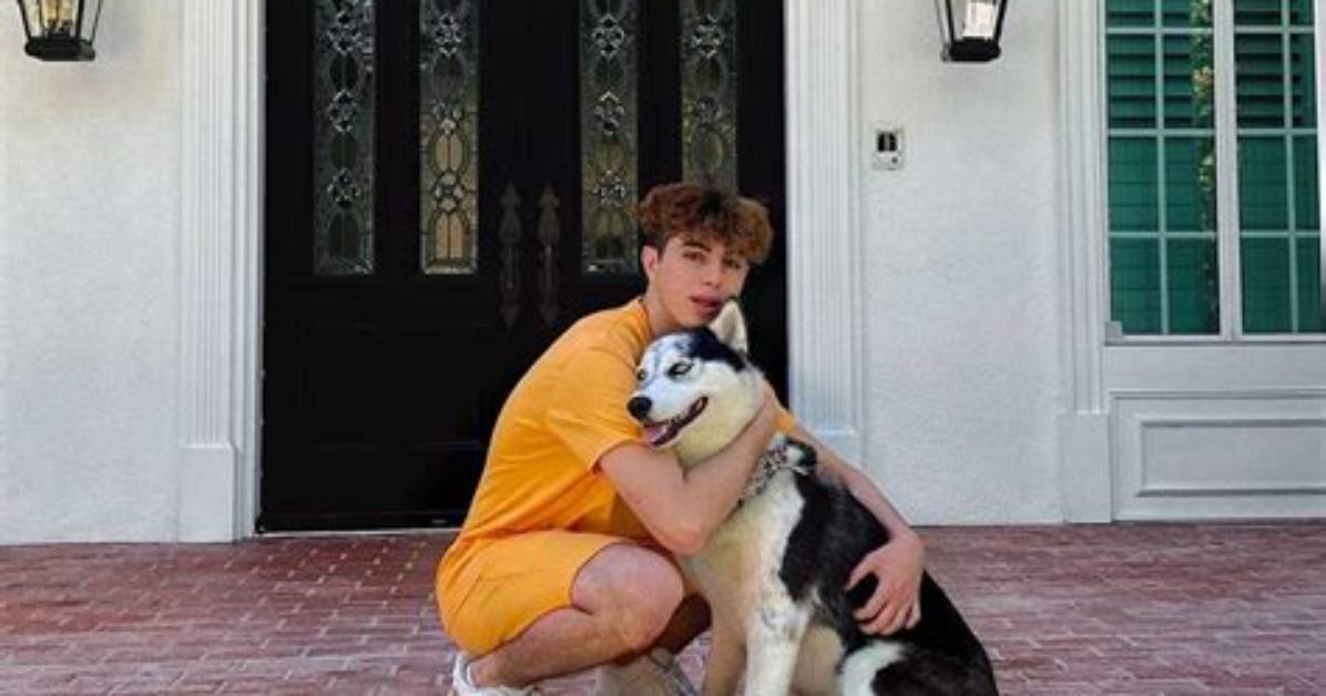 Keemokazi Pets - Celebrity Pets