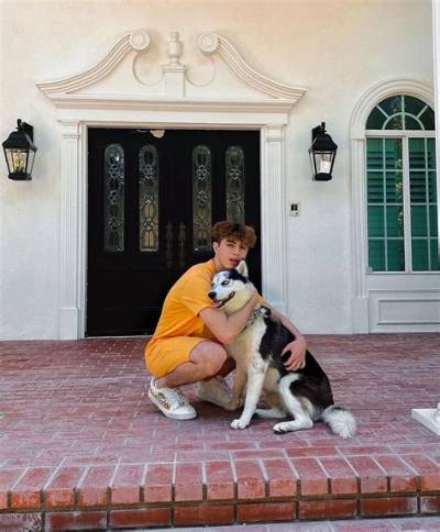 Keemokazi Pets - Celebrity Pets
