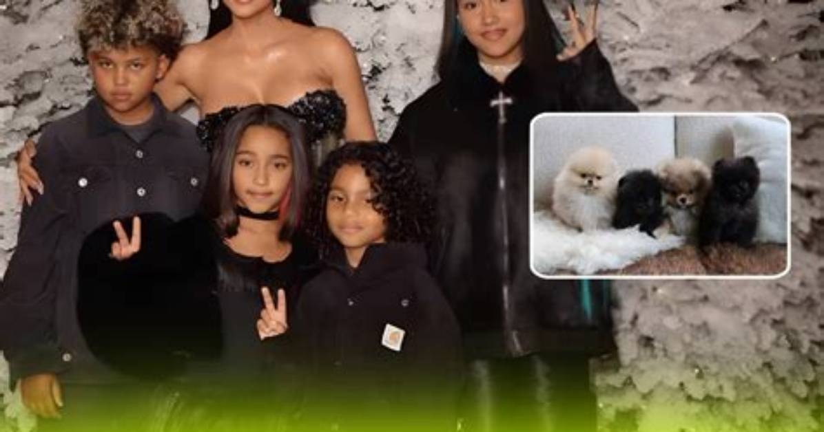 Kim Kardashian Slammed by Peta and Animal Lovers for Keeping Her Dogs in Garage!