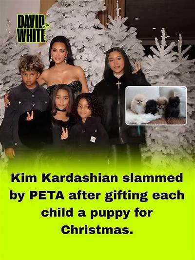 Kim Kardashian Slammed by Peta and Animal Lovers for Keeping Her Dogs in Garage!