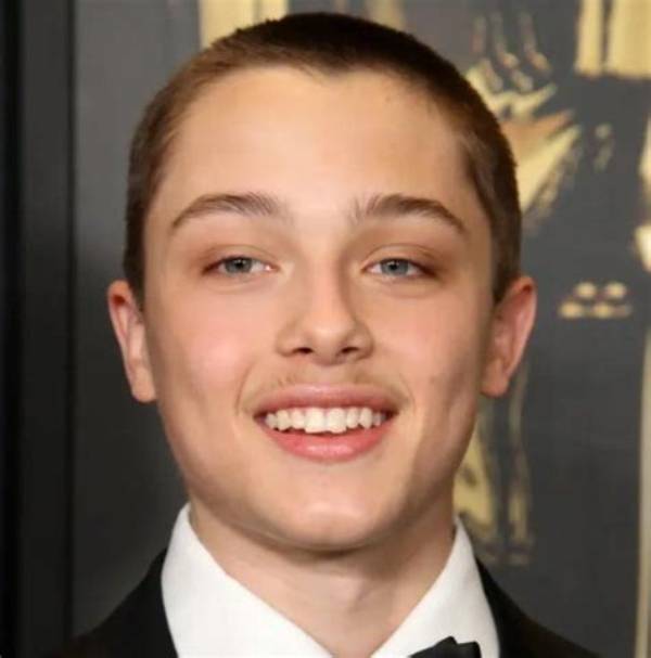 Knox Jolie-Pitt Bio (Wiki)