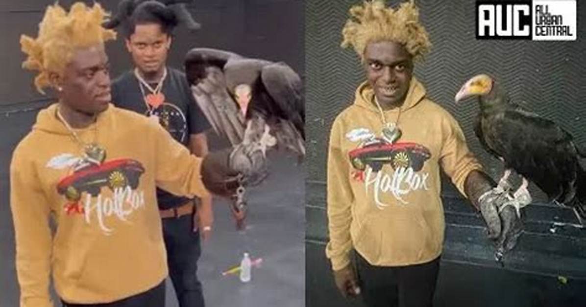Kodak Black Pets - Celebrity Pets