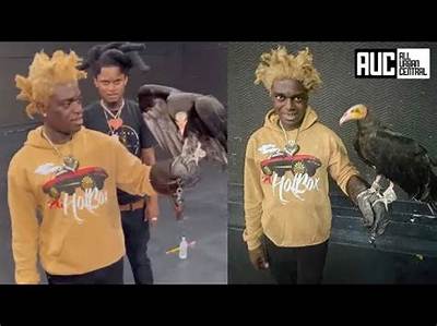 Kodak Black Pets - Celebrity Pets