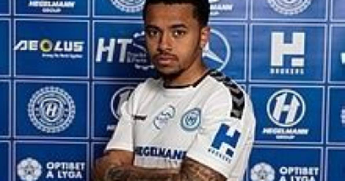 Kyle Spence Bio (Wiki)