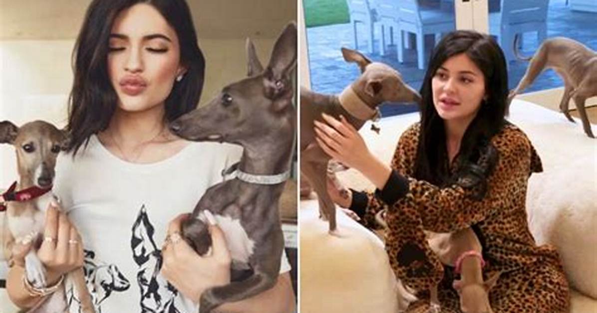 Kylie Jenner Admits Her “Best Hire” Was a Dog Nanny for Her 7 Italian Greyhounds