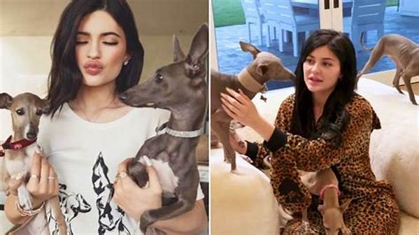 Kylie Jenner Admits Her “Best Hire” Was a Dog Nanny for Her 7 Italian Greyhounds