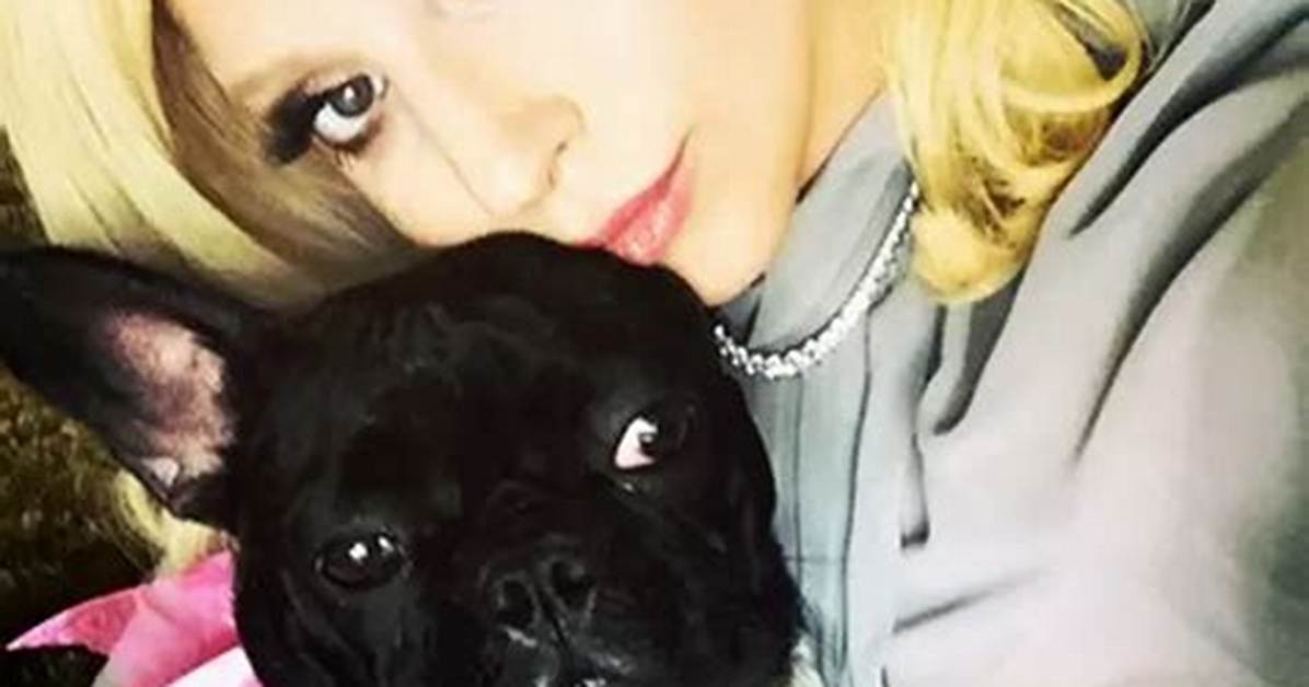 Lady Gaga Pets - Celebrity Pets