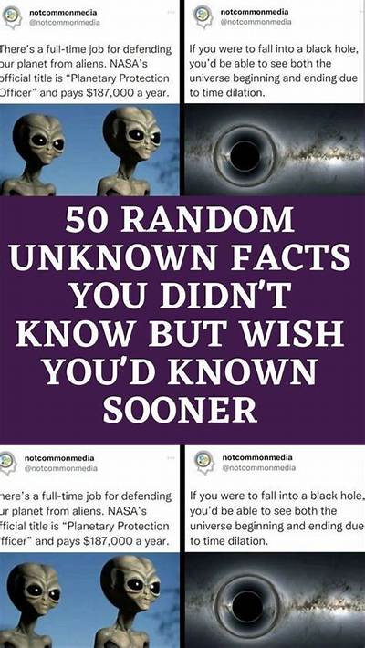 Learn Unknown Fact You Didn’t Known About Minecraft Streamer Wilbur Soot