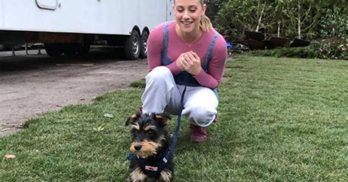 Lili Reinhart Adopts a New Rescue Puppy Named Milo