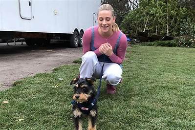 Lili Reinhart Adopts a New Rescue Puppy Named Milo