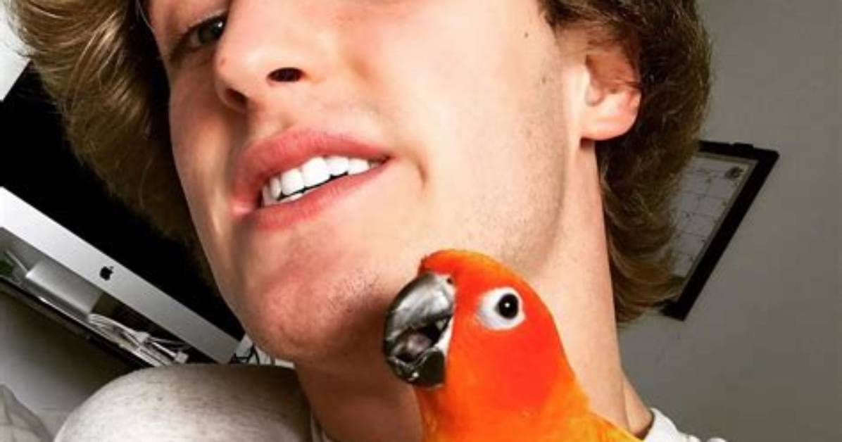 Logan Paul Pets - Celebrity Pets