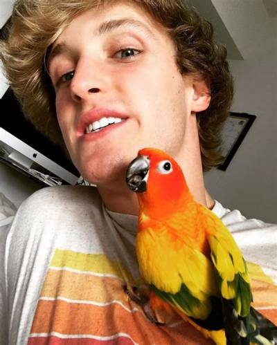 Logan Paul Pets - Celebrity Pets