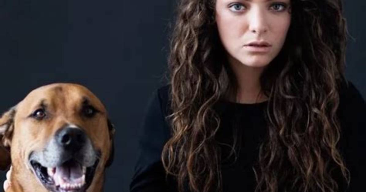Lorde Pets - Celebrity Pets