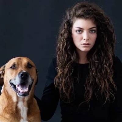 Lorde Pets - Celebrity Pets