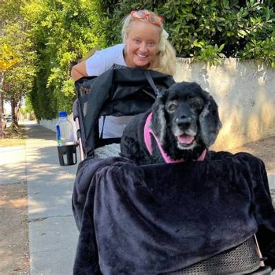 Lucy Punch Pets - Celebrity Pets