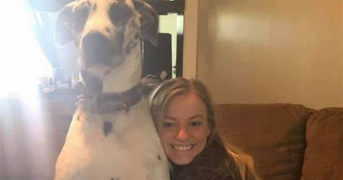 Mackenzie Mckee Reveals Tragedy as Her Dog Passes Away