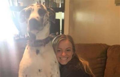 Mackenzie Mckee Reveals Tragedy as Her Dog Passes Away