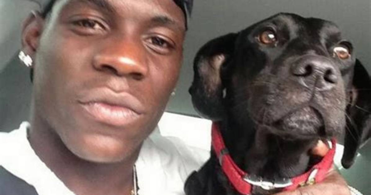 Mario Balotelli Pets - Celebrity Pets