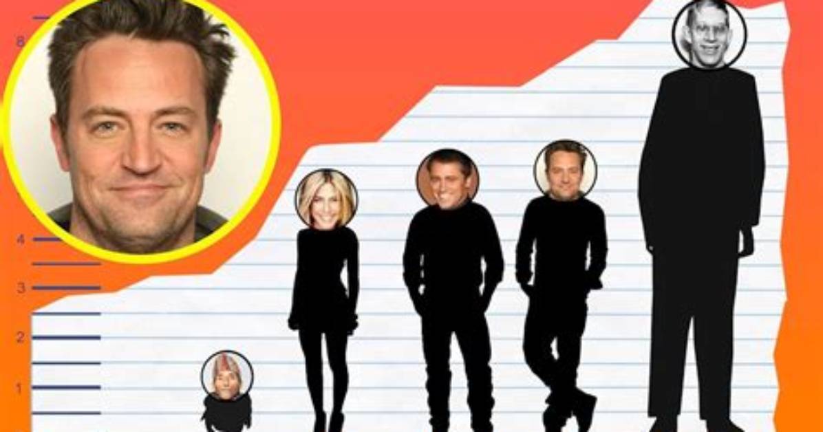 Matthew Perry Height: How Tall Is Matthew Perry?