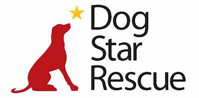 Meet Salsa, Rescue Dog and Star of the Movie ‘Space Pups’