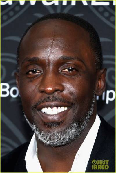 Michael K Williams Facial Scar and 9 Other Things to Know About Him