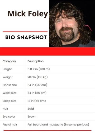 Mick Foley Net Worth - Wiki, Age, Weight and Height, Relationships, Family, and More
