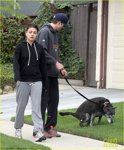 Mila Kunis & Ashton Kutcher Will Walk Their Dogs Together, but Not a Red Carpet