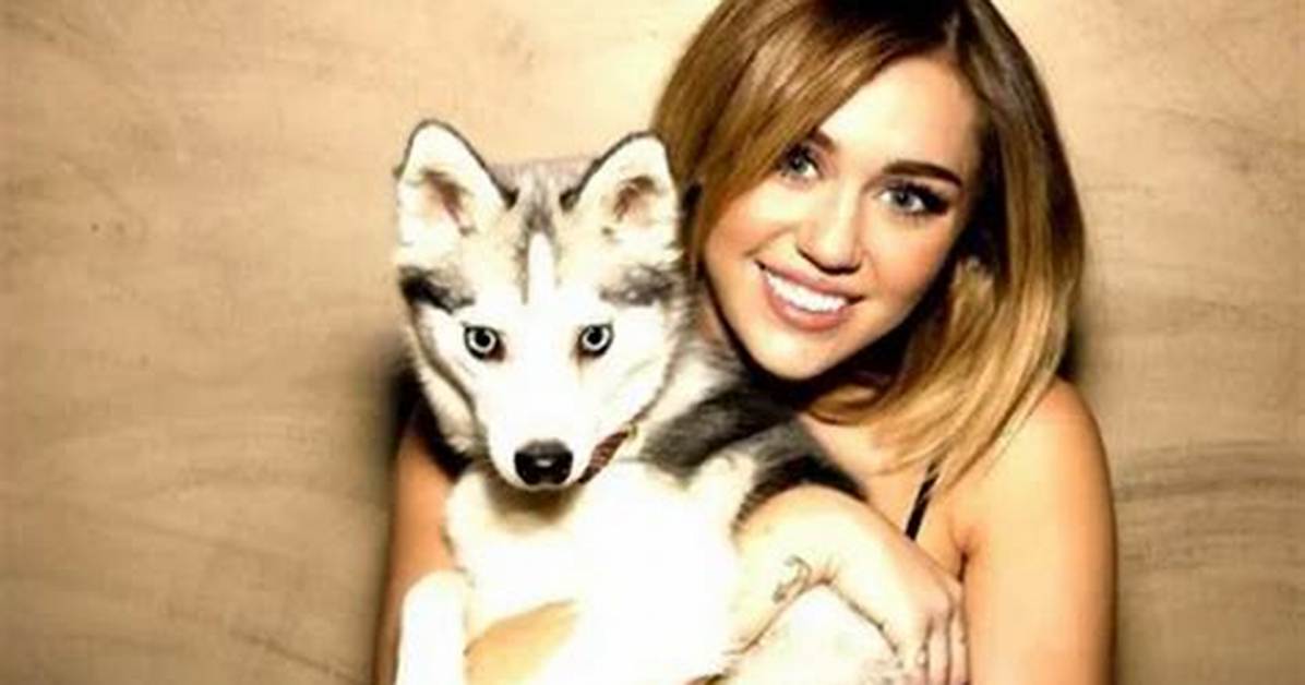 Miley Cyrus Shoutout for Her Passed Dog Floyd for His 5Th Birthday