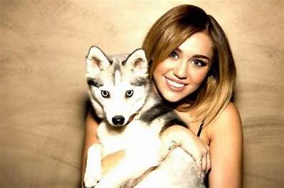 Miley Cyrus Shoutout for Her Passed Dog Floyd for His 5Th Birthday