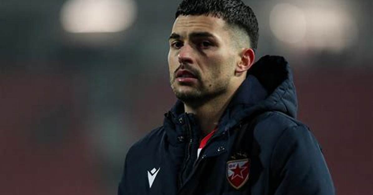 Nemanja Radonji%C4%87 Height Weight Net Worth Age 400. Jpg
