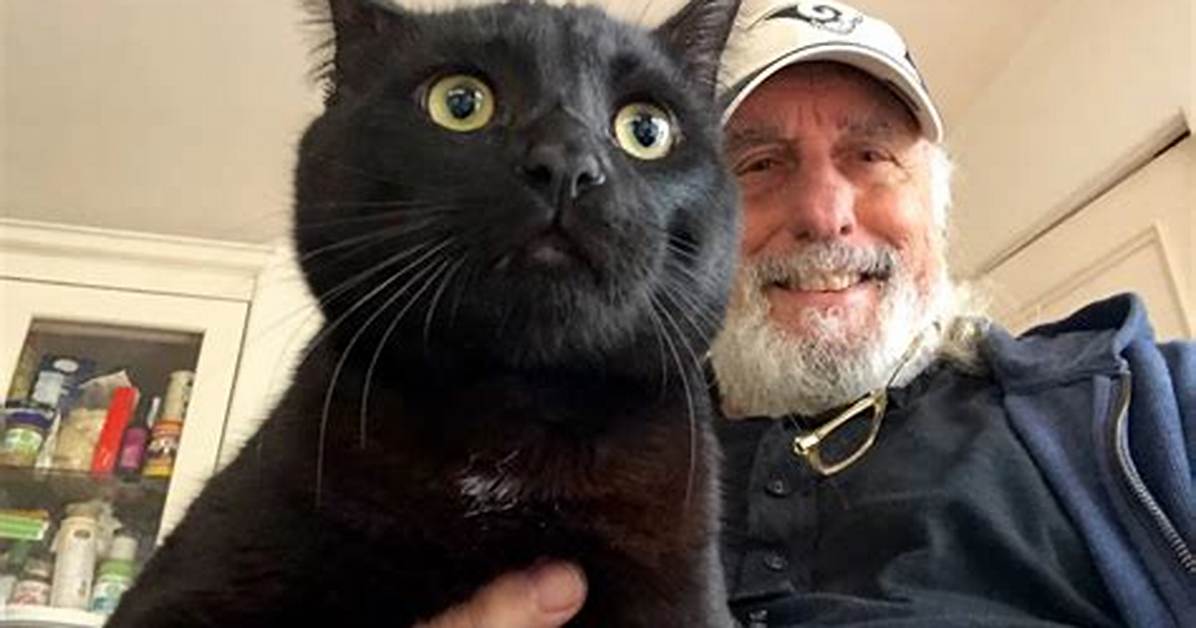 Nick Castle Pets - Celebrity Pets