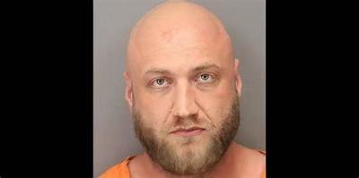 Nick Hogan Will Cop Plea in Felony Reckless Driving Case