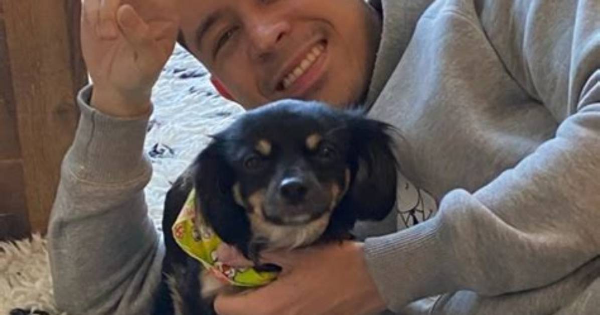 Noel Miller Pets - Celebrity Pets