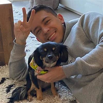 Noel Miller Pets - Celebrity Pets