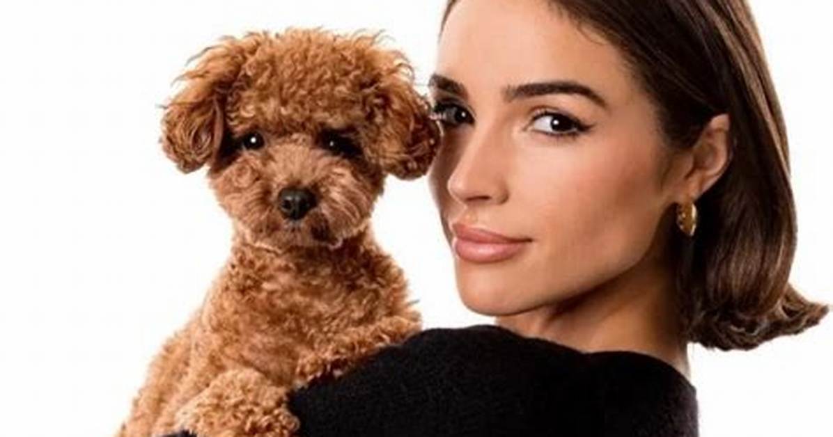 Olivia Culpo Pets - Celebrity Pets