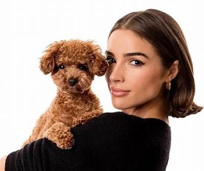 Olivia Culpo Pets - Celebrity Pets
