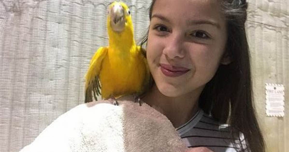 Olivia Rodrigo Pets - Celebrity Pets